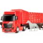 Caminhão Haras Carreta Bitrem Petroleum C/ Cavalo